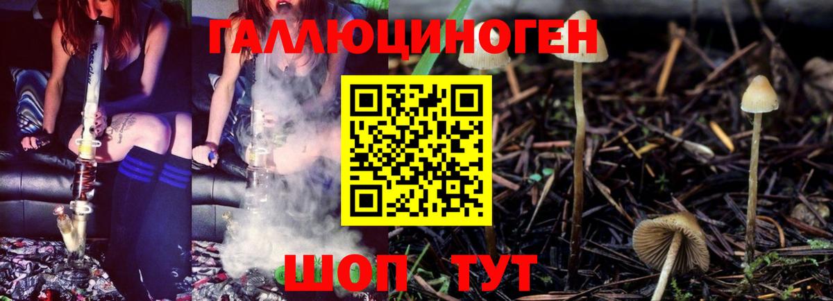 Кохма  Галлюциногенные грибы мицелий  купить закладку  Вход с VPN 